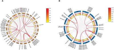 Genome-wide identification and expression analysis of the U-box E3 ubiquitin ligase gene family related to bacterial wilt resistance in tobacco (Nicotiana tabacum L.) and eggplant (Solanum melongena L.)